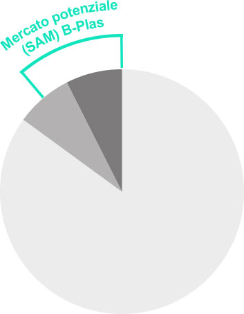 Mercato potenziale